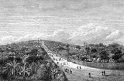 The Heart, the Herd, and the Road: A Myth of the Baganda